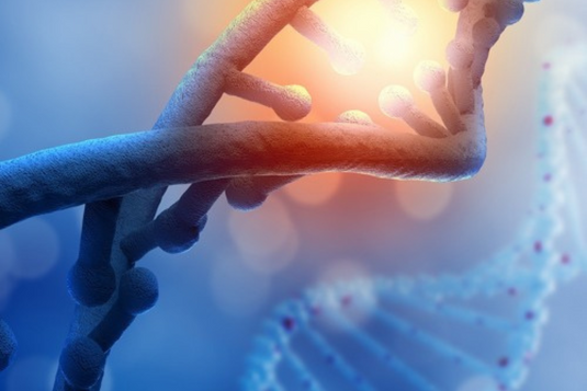 Метилиране и генна мутация