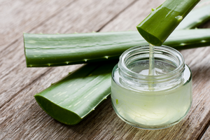 Medicinal properties of aloe vera