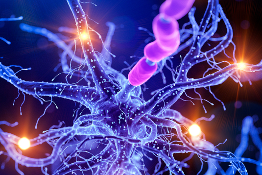 Как да излекувате нервната си система