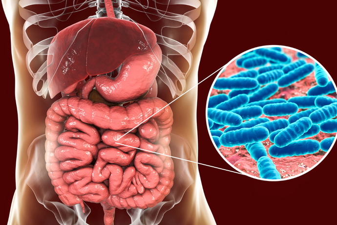 Ce este microbiomul și de ce nu ar trebui să fie în centrul atenției?