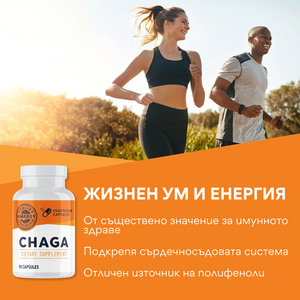 Chaga organic, 90 capsule, Vimergy®