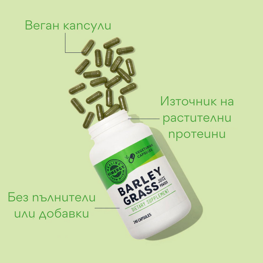 Organic Barley grass juice powder, 240 capsules, Vimergy®