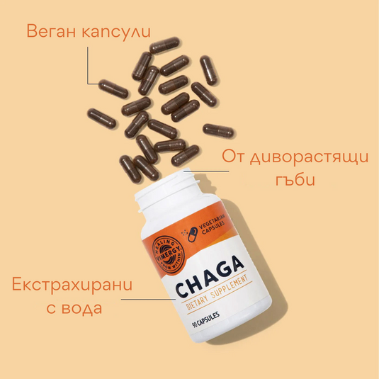 Organic Chaga, 90 capsules, Vimergy®