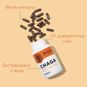 Chaga organic, 90 capsule, Vimergy®