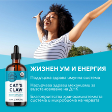 Incarcat o imagine in galerie previzualizare - Unghi organic de cat, extract nealcoolic 10: 1, 115 ml, Vimergy®
