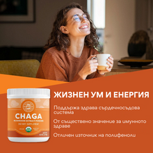 Incarcat o imagine in galerie previzualizare - Chaga organic, extract, 250 g, Vimergy®
