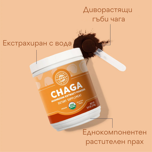 Chaga organic, extract, 250 g, Vimergy®