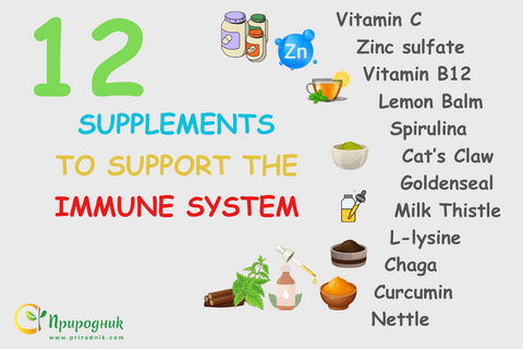 12 nutritional supplements to support the immune system