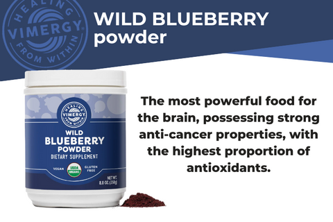 ORGANIC WILD BLUEBERRIES POWDER