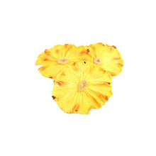 Incarcat o imagine in galerie previzualizare - Chips de ananas, 50 gr.
